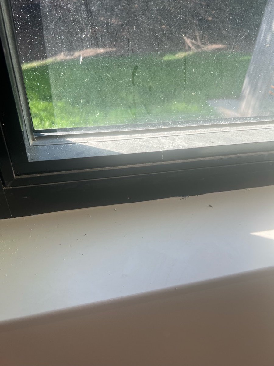 Construction dust on a new window sill before post-construction cleaning